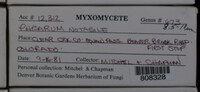 Image Associated With the Occurence
